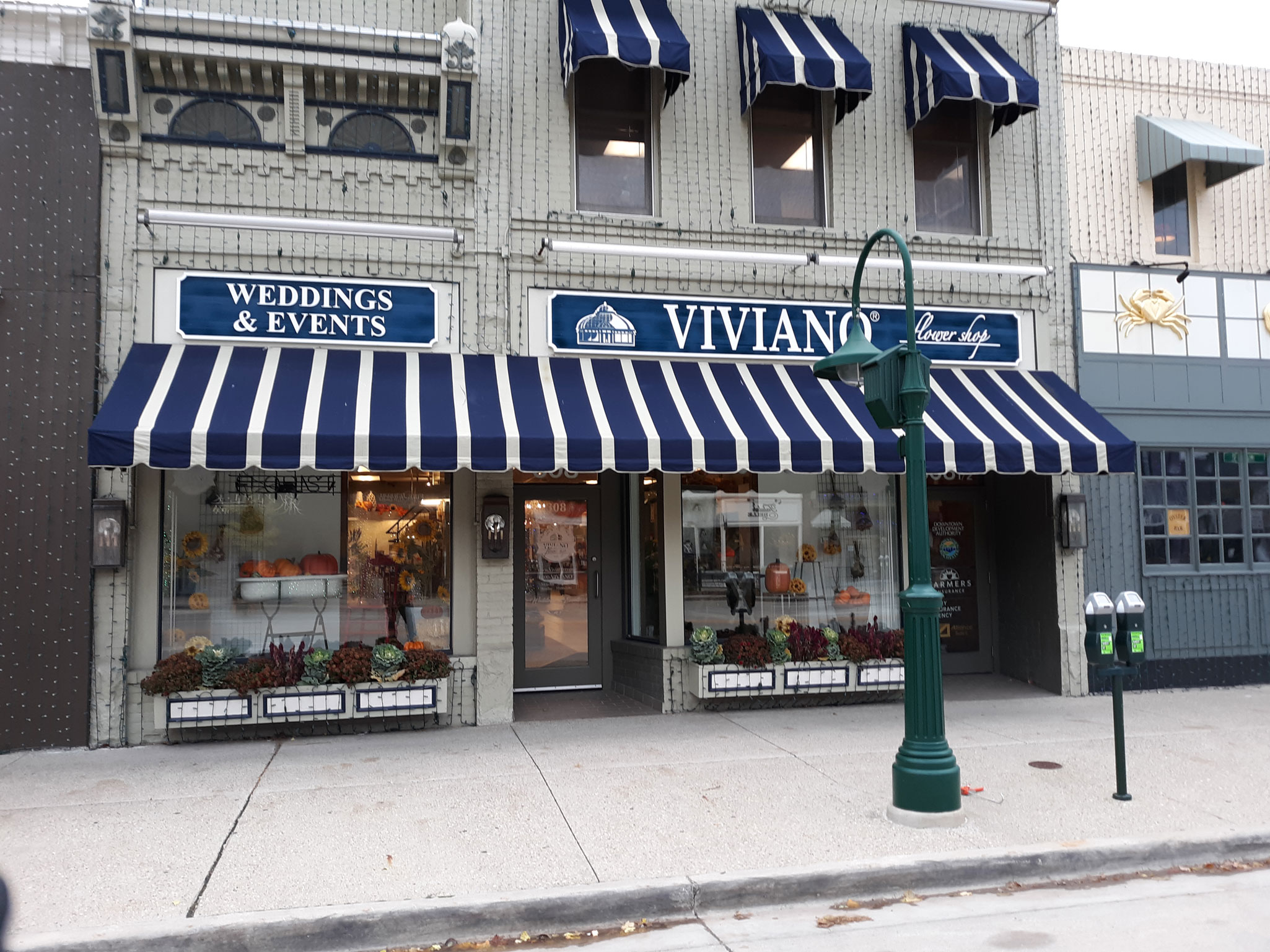 Viviano